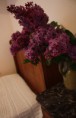 /album/chambre-aux-chapeaux/img-0277-jpg/